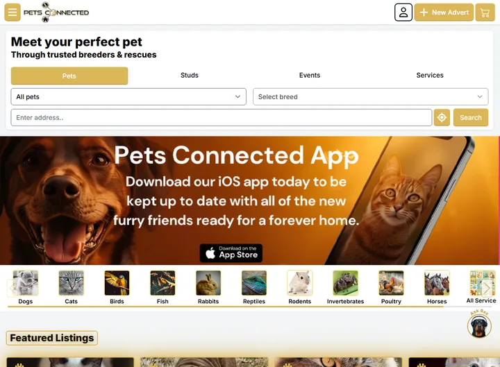 Pets Connected website screenshot built by Web Spinner UK