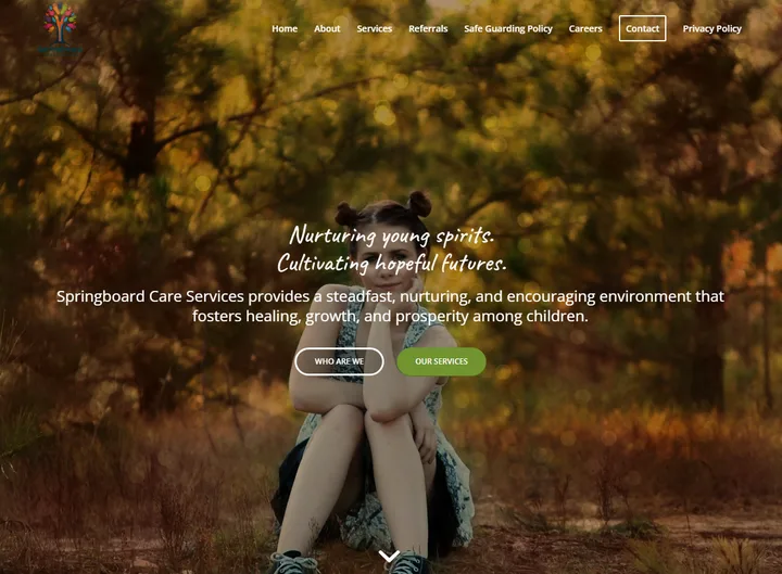 Springboard Care Services website screenshot built by Web Spinner UK